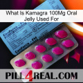 What Is Kamagra 100Mg Oral Jelly Used For 35